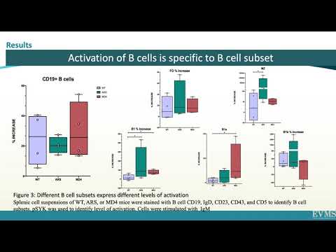 Thumbnail image of video presentation for Investigating the role of self-antigens in activating B cells in atherosclerosis using transgenic B cell receptors mouse models