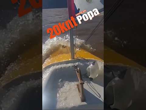 20knts de Sul na lagoa. Vento em popa. #floripa #velejar