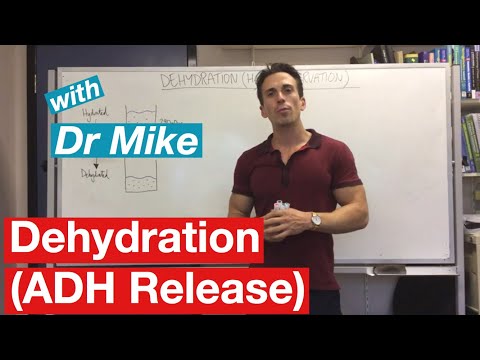 Dehydration (ADH release)