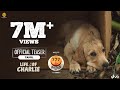 777 Charlie Official Teaser Rakshit Shetty Kiranraj K Paramvah Studios Stone Bench Films
