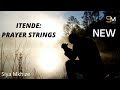 Itende PRAYER PREACHER BACKING STRINGS