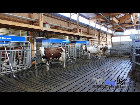 UNE FERME LAITIERE 100% ROBOTISEE - Visite GAEC Saint-Bonette (43)