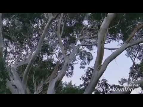 Mount Victoria lookout in Wellington, New Zealand