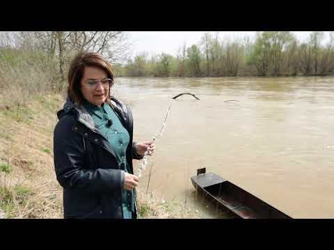 Srpski domaćin ep. 61 08.04.2021. Šavac, Dušan Mijajlović