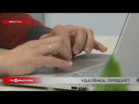 Удалёнка в Иркутске под угрозой: 62% работодателей готовы вернуть сотрудников в офисы