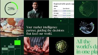 Brandpie - Video - 1