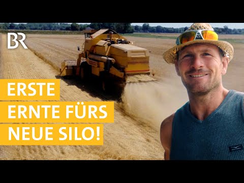 Vor dem Regen schnell Braugerste dreschen! #13 | Mega Baustelle: Ein Bauernhof zieht um | Unser Land