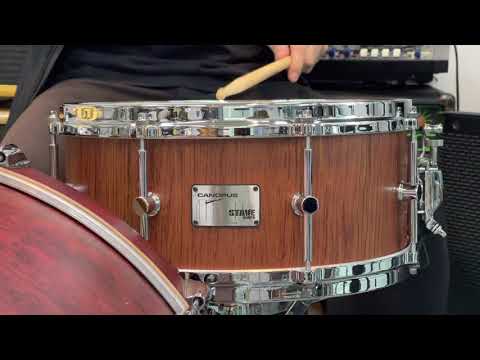 Canopus Stave bubinga 14 x 6 snare image 9