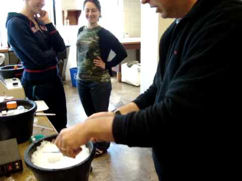 Coelomocytes extraction