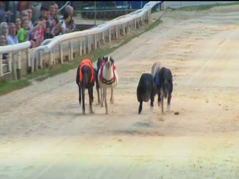 2017 WILLIAM HILL GRAND PRIX FINAL