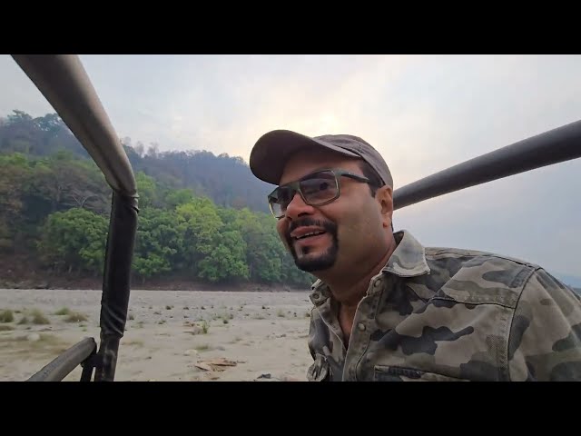 Tiger Cubs in Hiding: Dhikala Safari Turns Into a Suspense Thriller , Dhikala Corbett  Jeep Safari