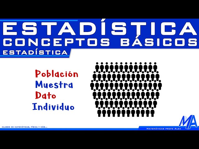 Vídeo relacionado con Stat Brat Estadísticas matemáticas Regalo friki para estadístico deportivo Manga Larga
