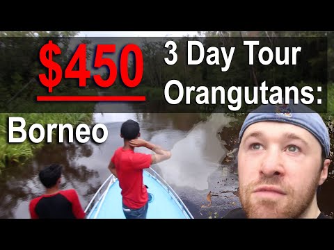 This Was a DREAM Come True! (Borneo 3-Day Tour)
