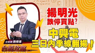 【台股攻略】 #劉烱德 0726 揚明光跌停買點？中興電三日內季線翻揚！ (圖)