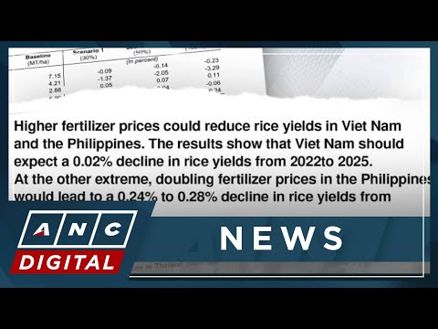 ADB: Fertilizer price hikes to curb PH rice yields, consumption ANC