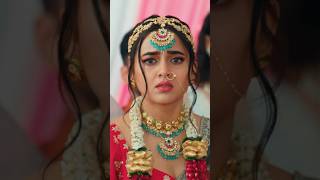 Download lagu #ular #ularmani #ular6 mp3