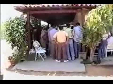 TOCATA PAVAO BONITO NA BAHIA 1993 - 02