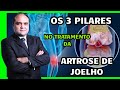 Os 3 PILARES No Tratamento Da ARTROSE DE JOELHO