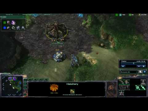 StarCraft 2 MouzStrelok vs mTwHoRRoR  TvZ on Lost Temple -008