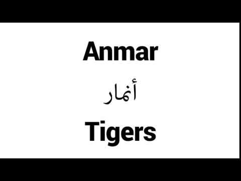 How to Pronounce Anmar! - Middle Eastern Names