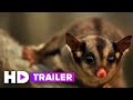 TINY WORLD Trailer 2020 Apple TV