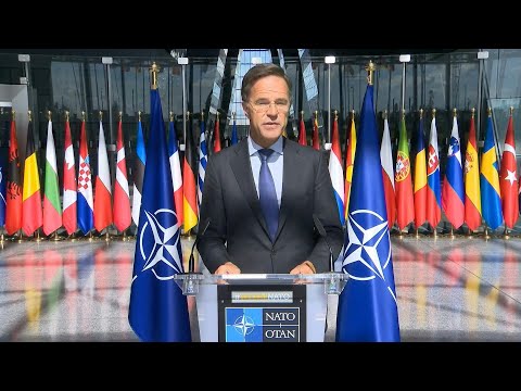 Artikel 4: Polen startet Nato-Untersuchung wegen russischer Drohne