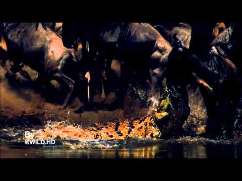 Calvin Harris ft Example - We'll Be Coming (FLMantas dub remix)