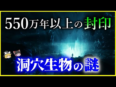 ジュール・ヤンセン