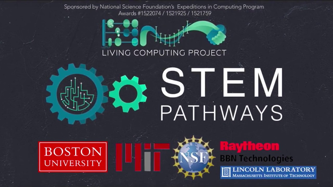 What is STEM Pathways?