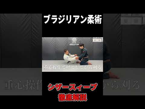 柔術初心者でも使える！シザースィープの基本🥋 #柔術 #BJJ