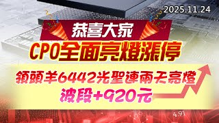 20251124《股市最錢線》#高閔漳 “恭喜大家CPO全面亮燈漲停，領頭羊6442光聖連兩天亮燈，波段+920元”