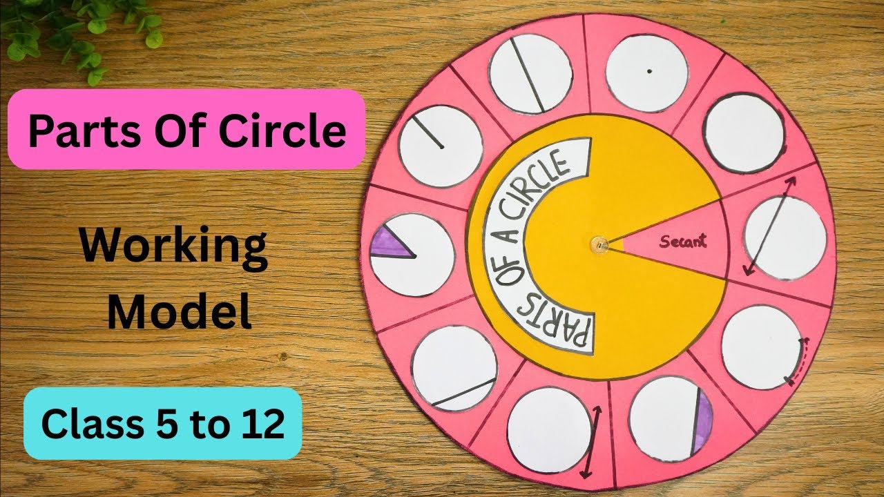 Parts of a Circle Working Model | Easy Math Project for School | DIY | Exhibition model for school