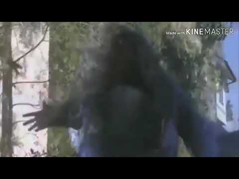 Charmed: The Second Generation! 6x09! "It's In My DNA!"