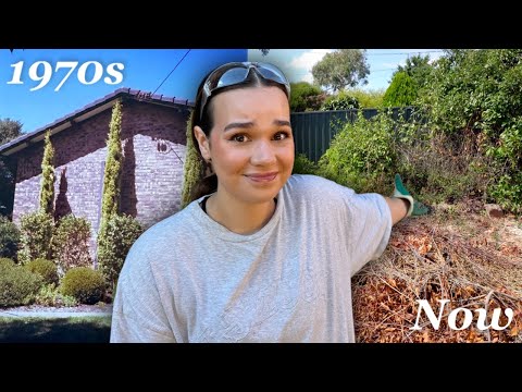 Transforming my EXTREMELY neglected garden