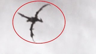 10 Mythical Creatures That Were Caught on Tape