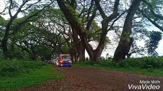 Download lagu maxxio indonesia area banyuwangi mp3