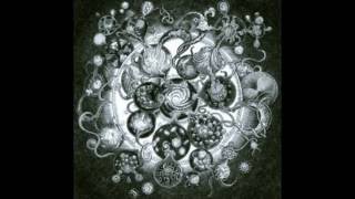 Long Distance Calling - Beyond the Void