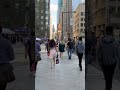 Walk On Bay Street In Toronto Canada Shorts