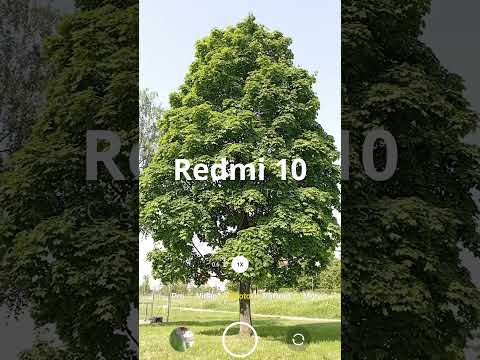 Xiaomi Redmi 10 - Photo Test