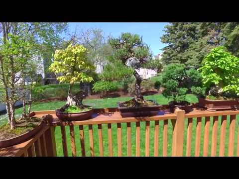 143 Lake St, Arlington MA - Katya Pitts - Tel 617-335-8552