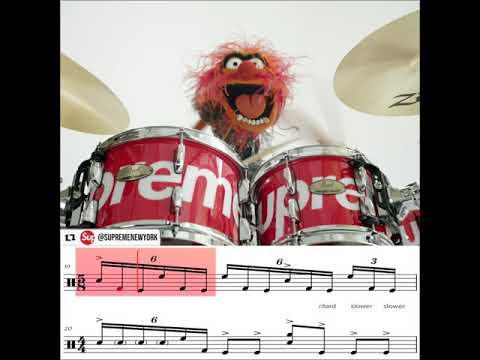 Animal, Supreme X Pearl DRUM TRANSCRIPTION