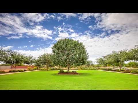 Estrella Publishing video.