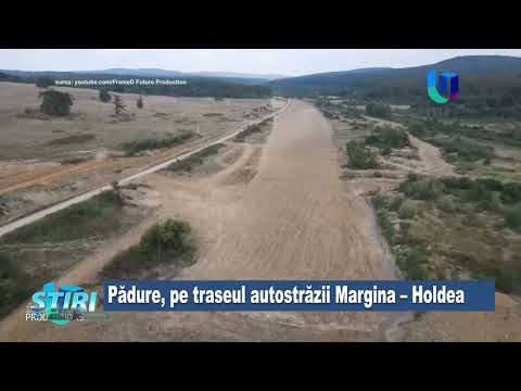 Pădure de 18 ha în calea autostrăzii Lugoj - Deva