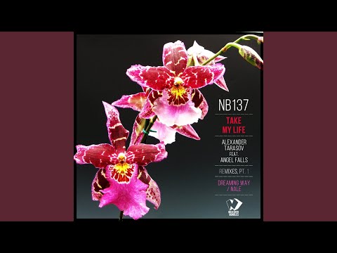 Take My Life (Dreaming Way Remix)