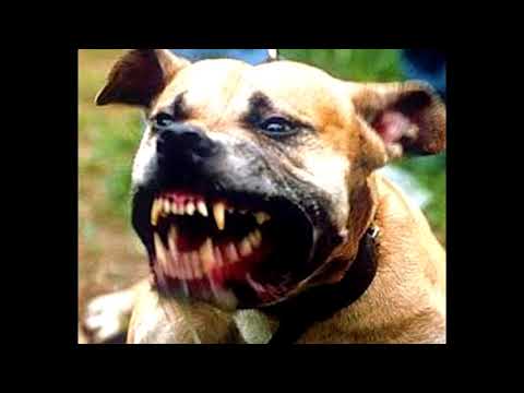 (FREE) SPLURGE X SLIMESITO X CHASETHEMONEY TYPE BEAT "HIT EM"