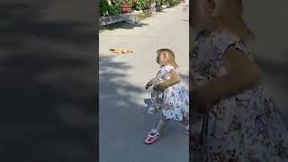 Download lagu Monkey LyLy went to buy cake herself #shorts #monkey #youtubeshorts #viral #petmonkey #animals mp3