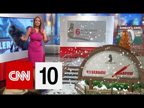 How A Groundhog Predicts The Weather?