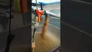 Download lagu Mesin pompa pasir otomatis, dengan kecepatan cepat dan efisiensi tinggi mp3