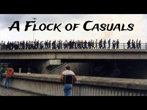 A Flock of Casuals