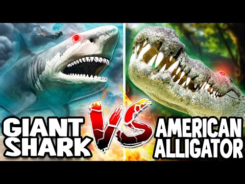 Giant Shark VS Alligator
